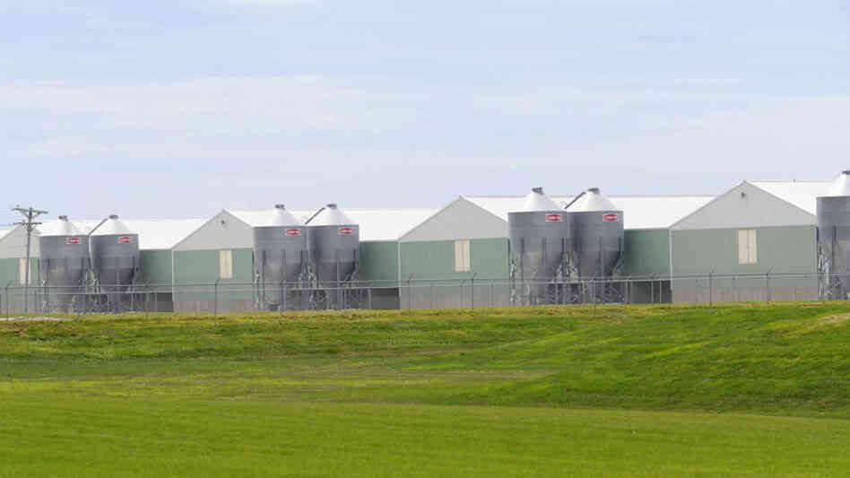 Buildings at Wright County Egg Buildings at Wright County Egg
